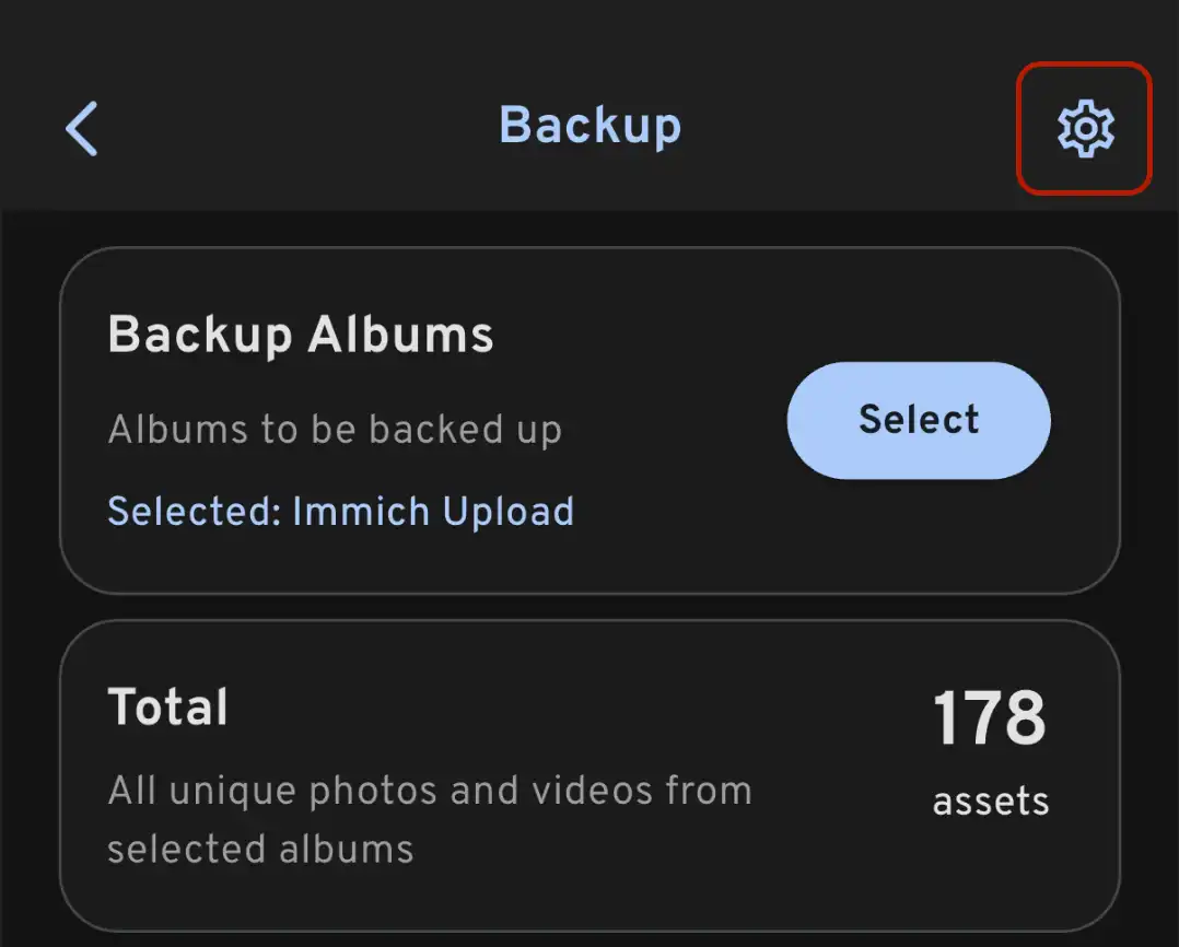 Backup option selection